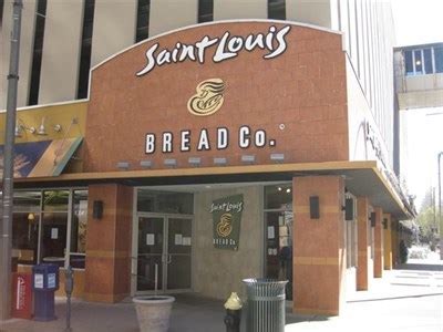 saint louis bread company panera